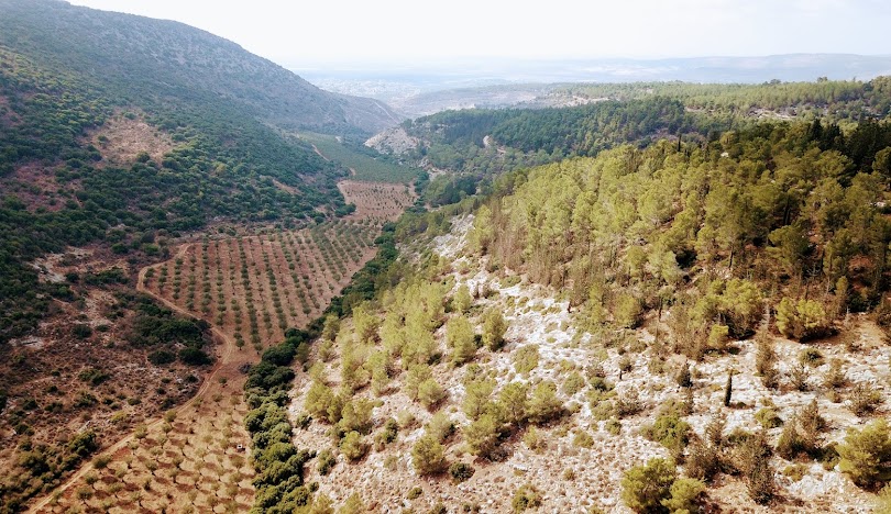  | موسوعة القرى الفلسطينية